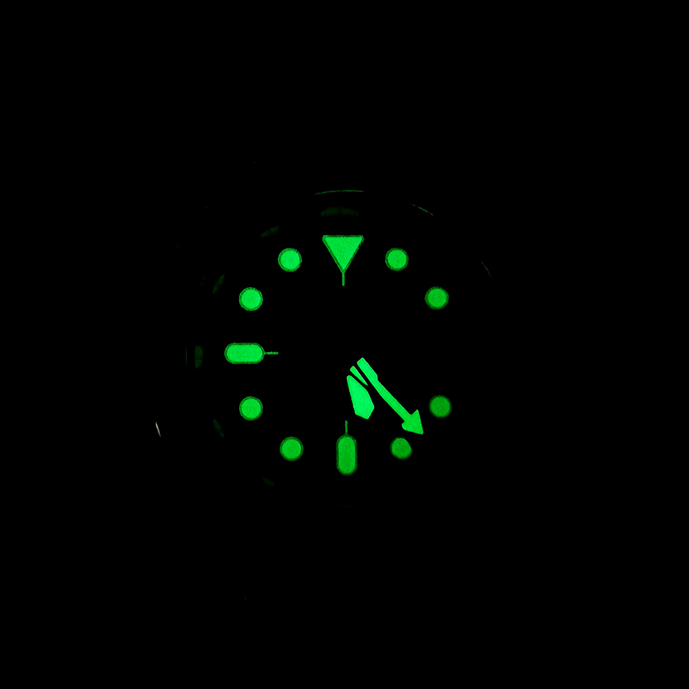 New Abalone Diving Men's Mecha - Luxury Watch Japan 评论和价格